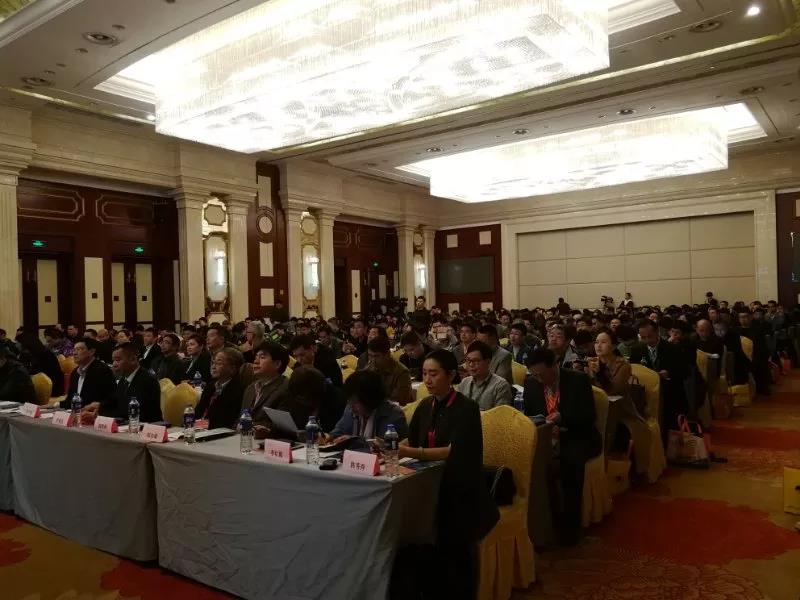 1587173412340385.jpg 4.jpg